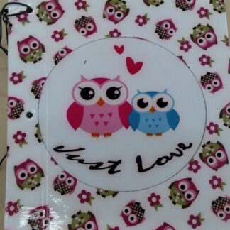 CARPETA ESCOLAR TAPAS N 3 CON DIBUJOS JABRUS BUHO